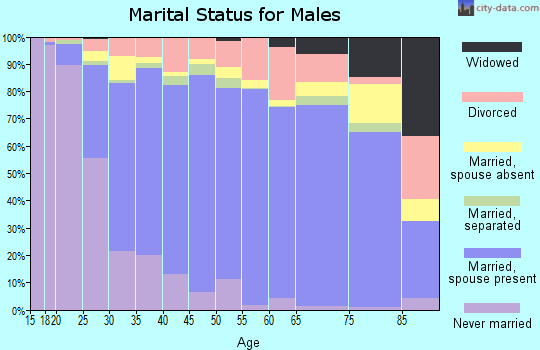Zip code 79936 marital status for males
