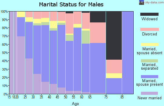 Zip code 79938 marital status for males