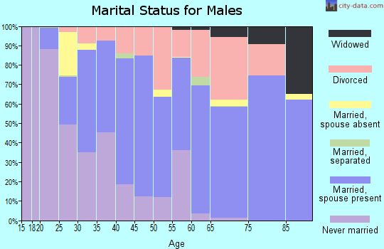 Zip code 80002 marital status for males