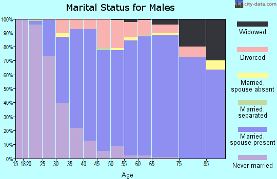 Zip code 80005 marital status for males