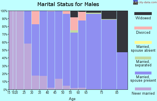 Zip code 80007 marital status for males