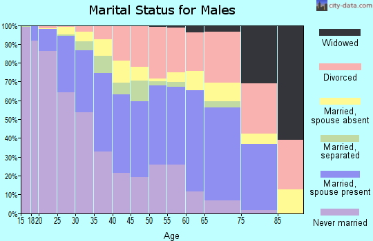 Zip code 80010 marital status for males