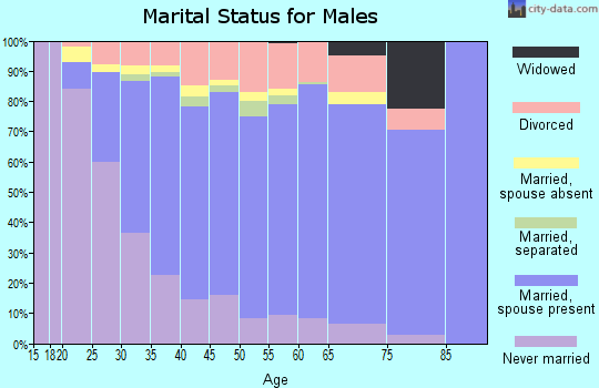 Zip code 80013 marital status for males
