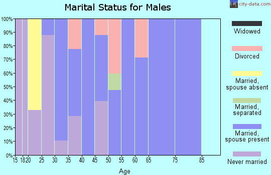 Zip code 80019 marital status for males