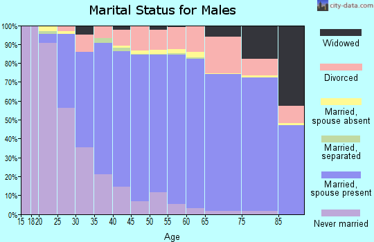 Zip code 80020 marital status for males