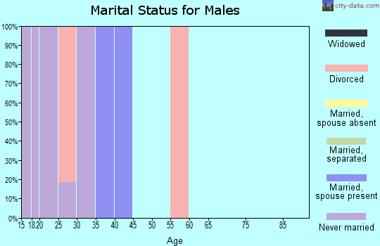 Zip code 80024 marital status for males