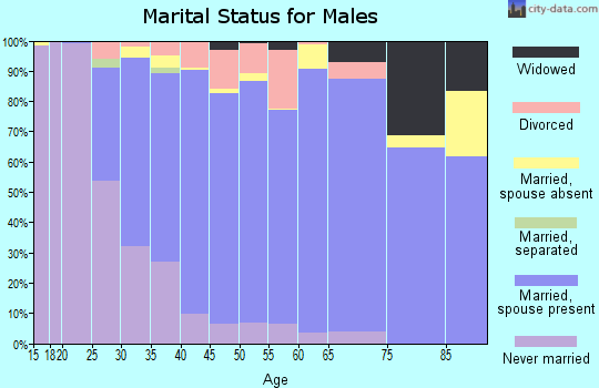 Zip code 80027 marital status for males