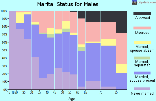 Zip code 80030 marital status for males