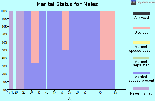 Zip code 80101 marital status for males