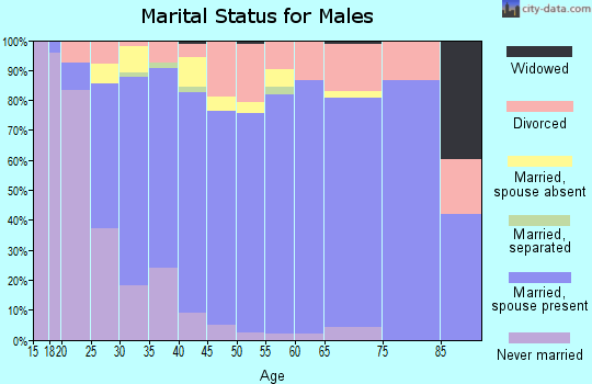 Zip code 80104 marital status for males