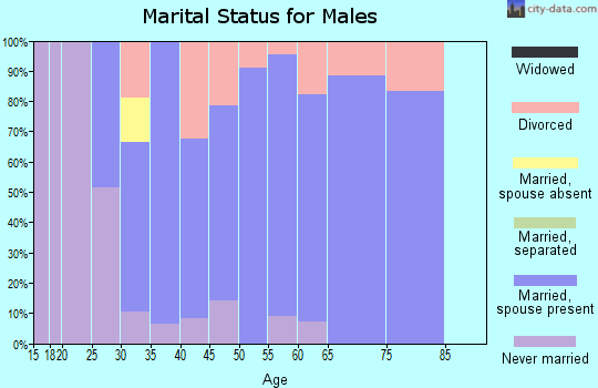 Zip code 80105 marital status for males