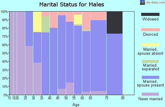 Zip code 80106 marital status for males