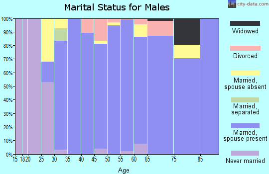 Zip code 80118 marital status for males