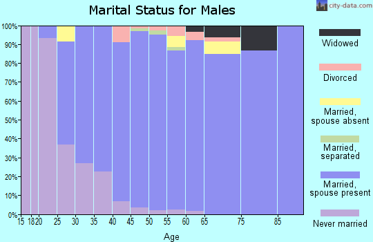 Zip code 80132 marital status for males