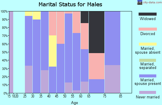 Zip code 80133 marital status for males