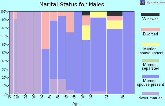 Zip code 80135 marital status for males