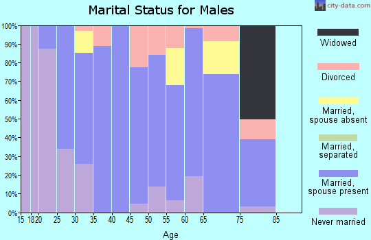 Zip code 80136 marital status for males
