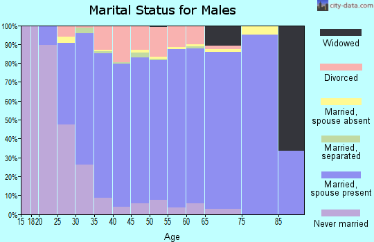 Zip code 80138 marital status for males