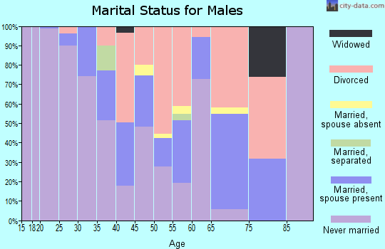 Zip code 80202 marital status for males