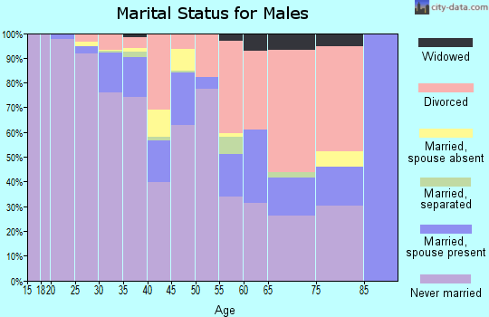 Zip code 80203 marital status for males