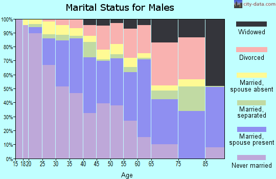 Zip code 80204 marital status for males