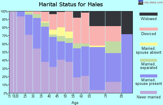 Zip code 80205 marital status for males