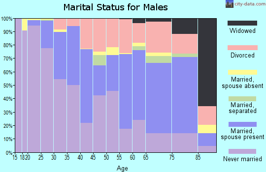 Zip code 80206 marital status for males