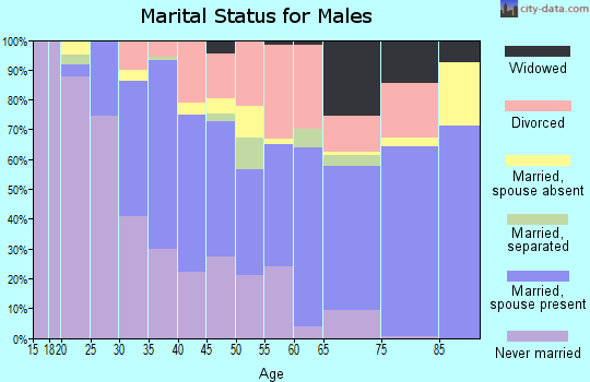 Zip code 80207 marital status for males