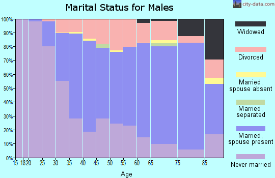 Zip code 80210 marital status for males