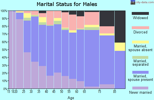 Zip code 80229 marital status for males