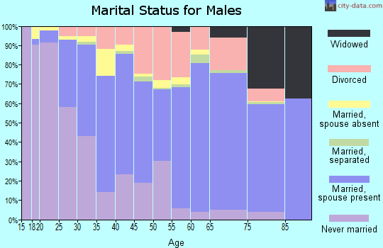 Zip code 80232 marital status for males