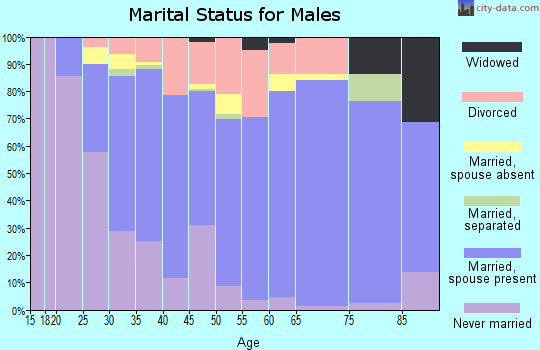 Zip code 80234 marital status for males