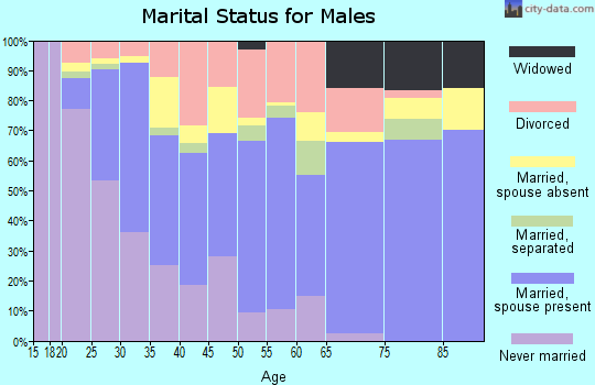 Zip code 80260 marital status for males