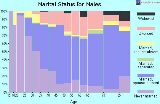 Zip code 80301 marital status for males