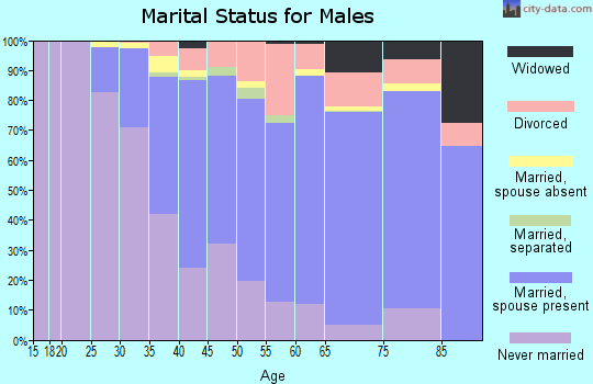 Zip code 80302 marital status for males