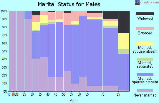 Zip code 80303 marital status for males