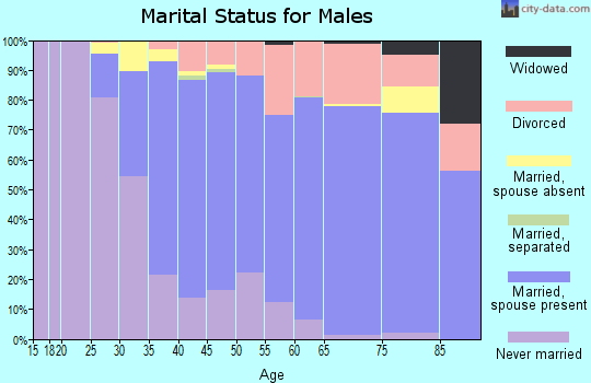 Zip code 80304 marital status for males