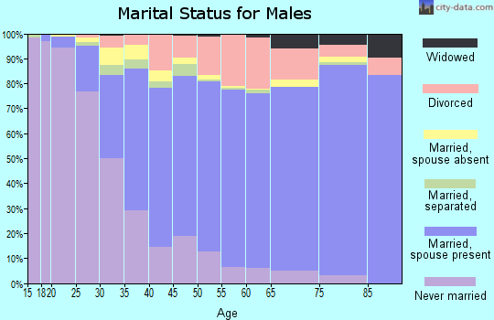 Zip code 80401 marital status for males