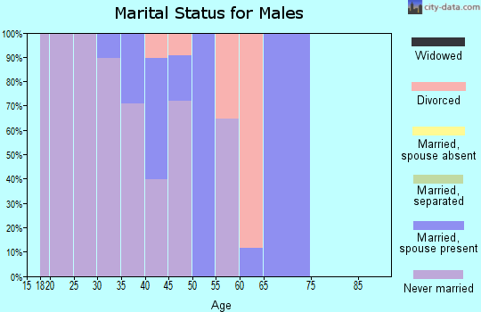 Zip code 80420 marital status for males