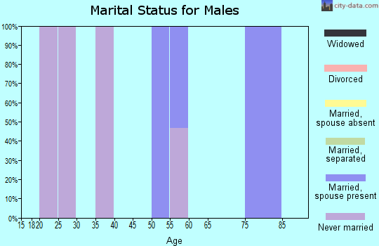 Zip code 80426 marital status for males
