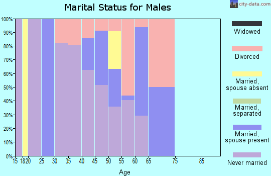 Zip code 80427 marital status for males