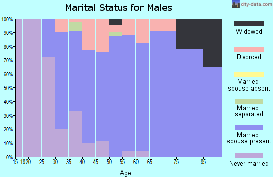 Zip code 80433 marital status for males