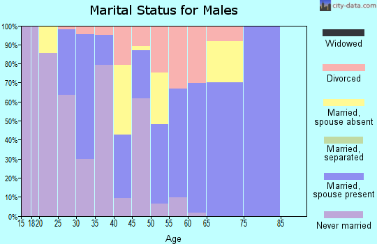 Zip code 80435 marital status for males