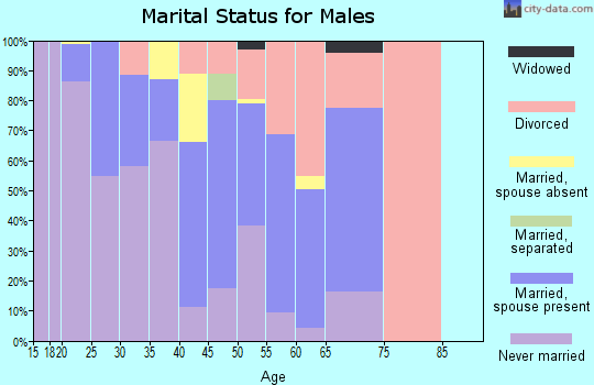 Zip code 80440 marital status for males