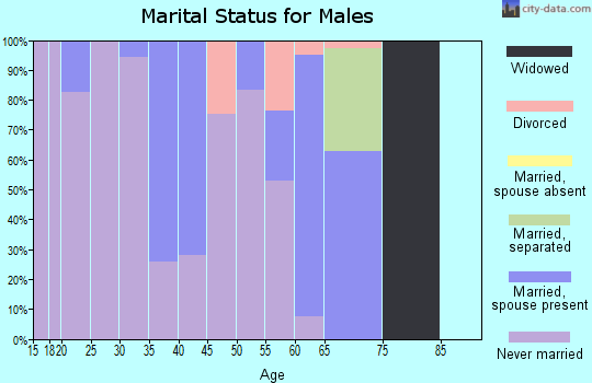 Zip code 80442 marital status for males