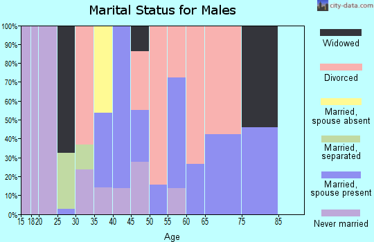 Zip code 80451 marital status for males