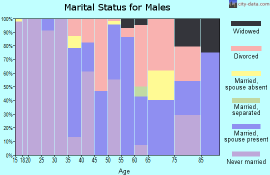 Zip code 80452 marital status for males