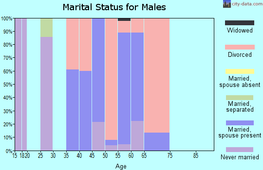 Zip code 80455 marital status for males