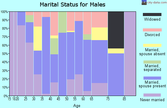 Zip code 80461 marital status for males