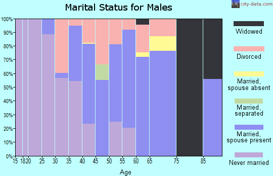 Zip code 80466 marital status for males